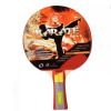 Raketa ping pong Giant Dragon KArate ITTF 4* 3768
